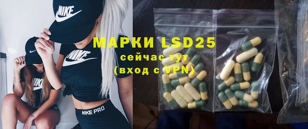 хмурый Мегион