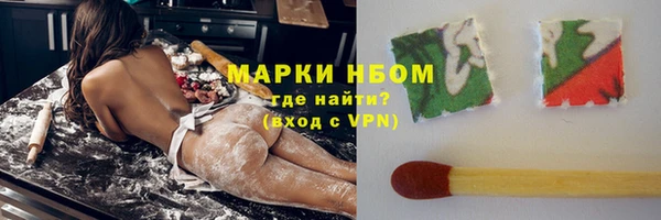 хмурый Мегион
