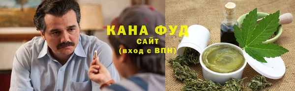 хмурый Мегион