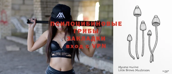 Альфа ПВП Медвежьегорск