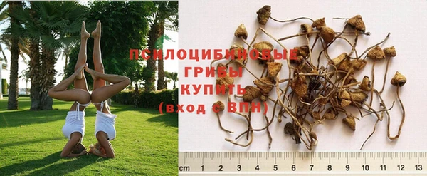 хмурый Мегион