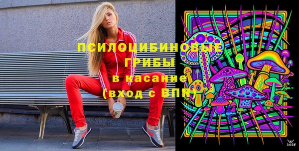 Альфа ПВП Медвежьегорск