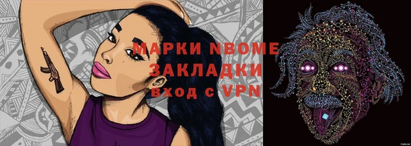 хмурый Мегион